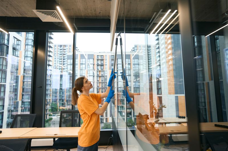 Window Cleaning Services