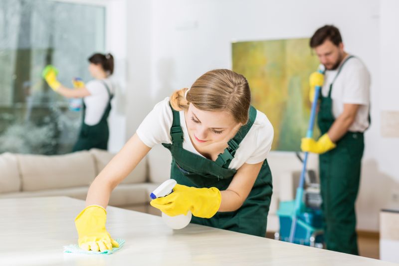 Tenancy Cleaning in Bellevue, WA